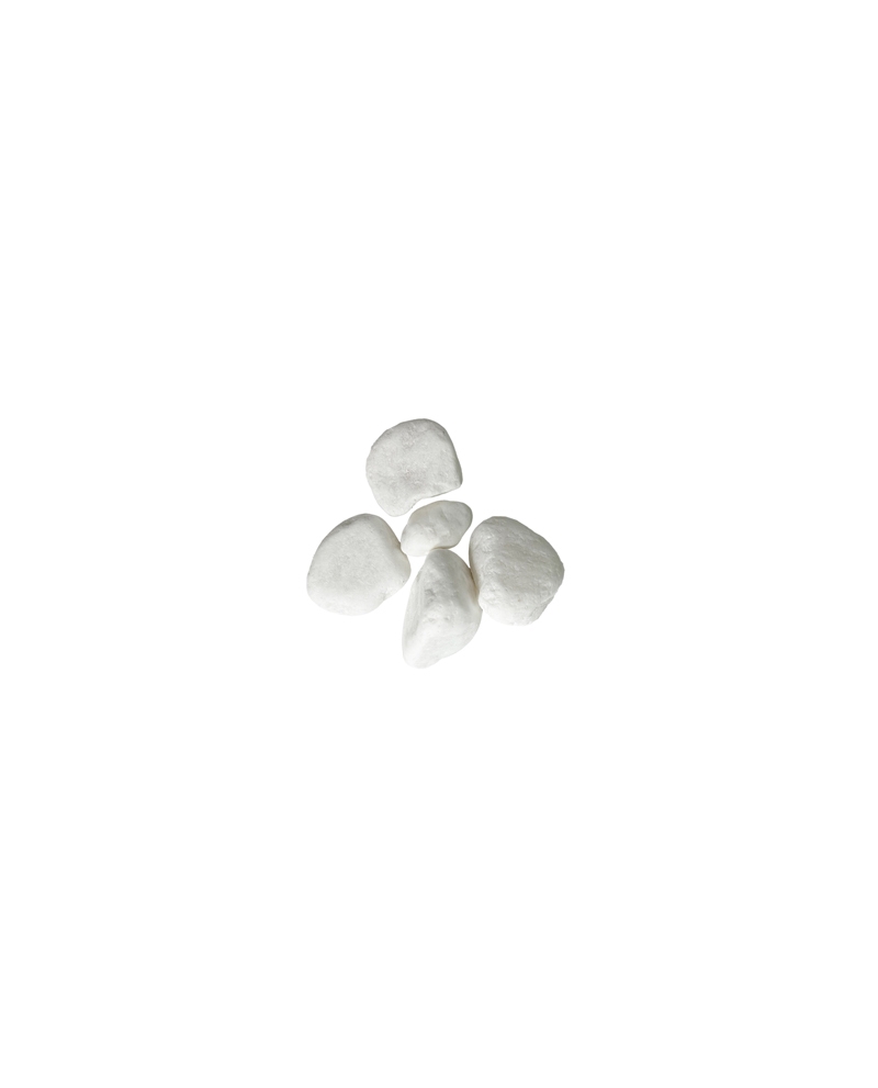 S051005